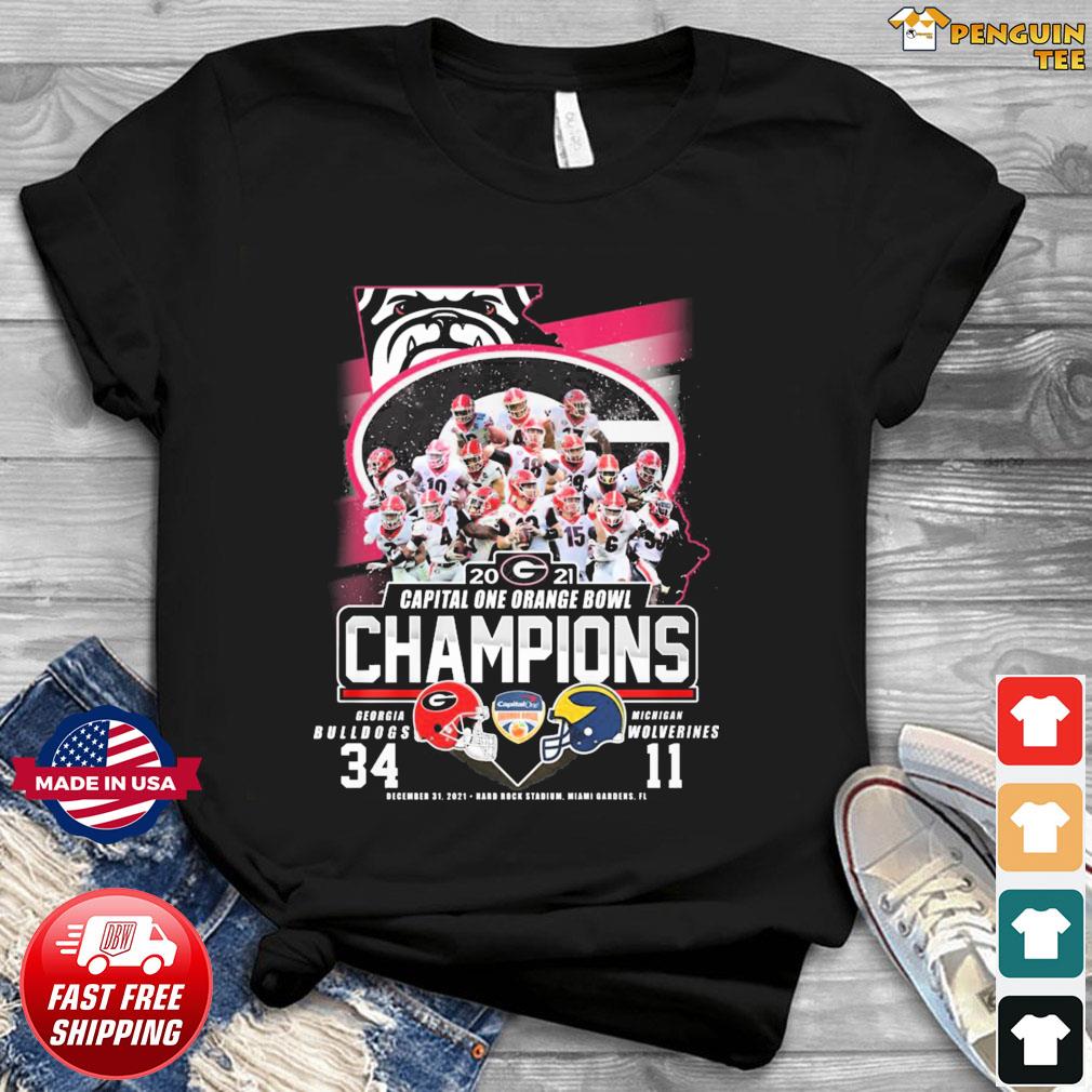 Tennessee Titans division champions run the South shirt, hoodie, tank top,  sweater and long sleeve t-shirt